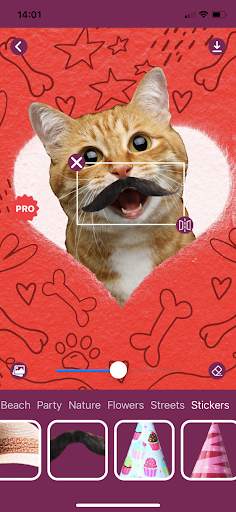 Cat Photo Editor screenshot 8