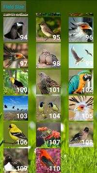 Birds Puzzle screenshot 7