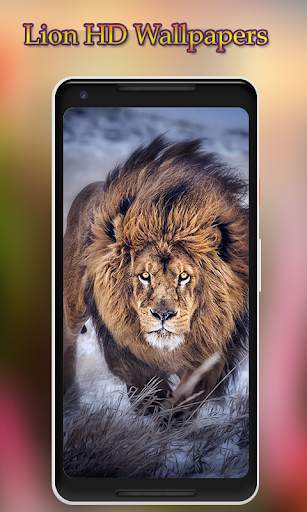 Lion Wallpapers HD 5 تصوير الشاشة