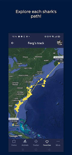 OCEARCH Shark Tracker screenshot 2