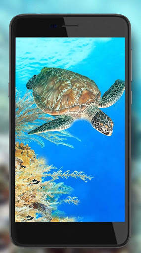 Turtles Sea Live Wallpaper screenshot 3