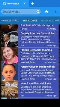 Web Browser screenshot 3
