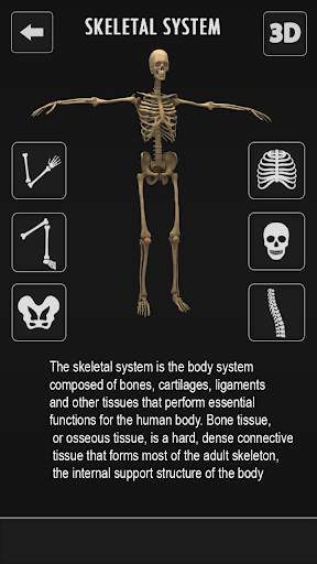 Female Anatomy 3D : Female Body Visualizer screenshot 7