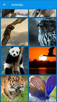 Wallpaper HD Photo Background screenshot 8