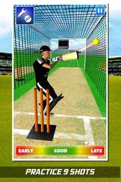 Cricket Hero 2016 screenshot 2