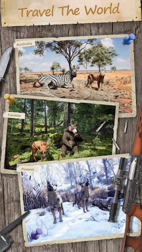 Hunting Sniper screenshot 3