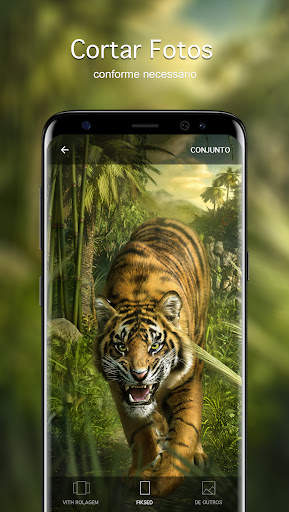 Papéis de parede com tigres 4K screenshot 4