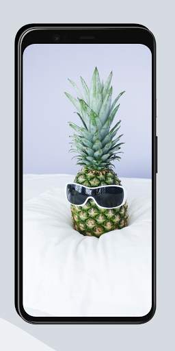Funny Wallpapers screenshot 3