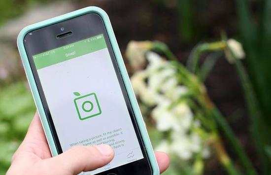 PlantSnap - Plants & Flowers Identification Guide screenshot 2