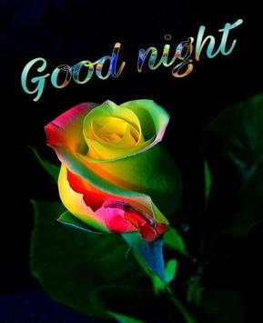 Romantic Good Night Love images Gif screenshot 1