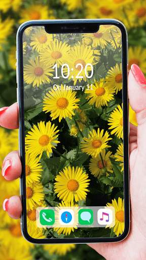 Live Wallpaper Fantasy screenshot 4