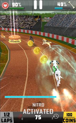 gra wyścigowa dla psów wyścigowych screenshot 4