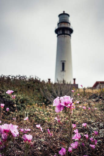 Lighthouse Wallpapers HD & 4k Backgrounds screenshot 1