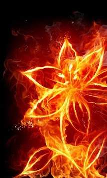 Fire Wallpapers screenshot 1