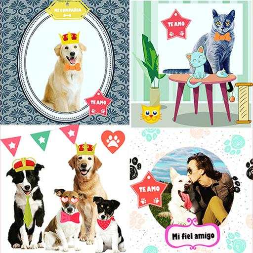 Pets photo editor screenshot 2
