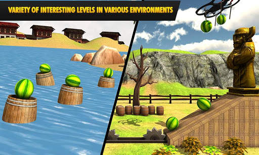 Watermelon shooting game 3D screenshot 6
