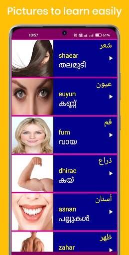 Learn Arabic From Malayalam screenshot 3