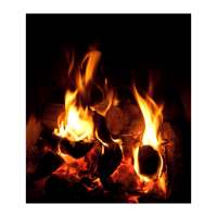 Bonfire Live Wallpaper logo