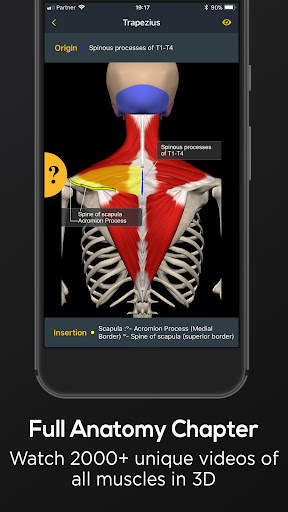 Posture by Muscle & Motion screenshot 7