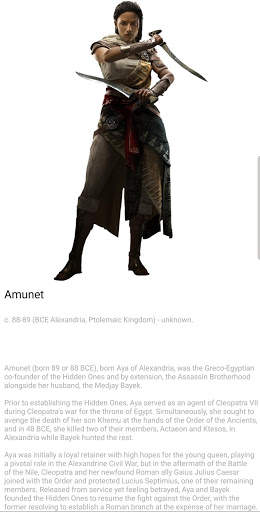 Assassin's World screenshot 2