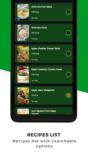 Fruit Salad Recipes Offline: Healthy Salad Recipes screenshot 3