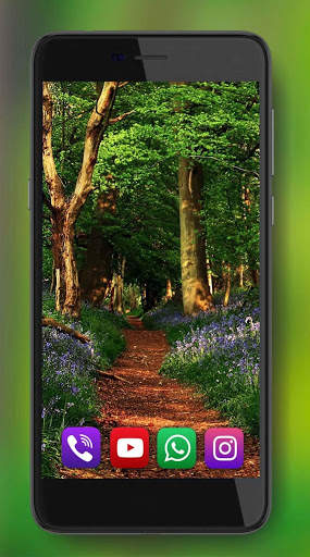 Forest Sounds Live Wallpaper screenshot 5