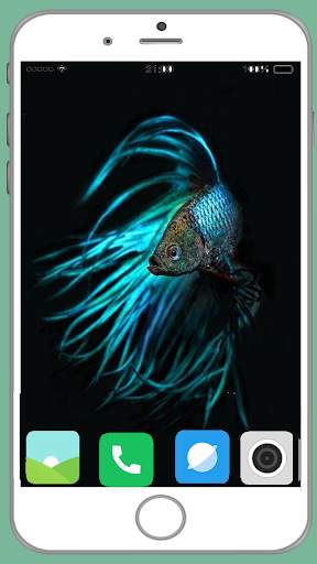 Fish Full HD Wallpaper 12 تصوير الشاشة