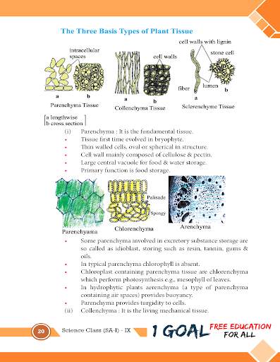 Bio Class 9 screenshot 4