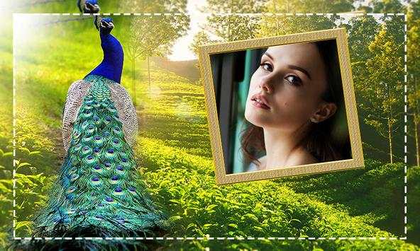 Peacock Photo Frames screenshot 4