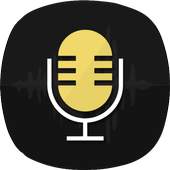 Audio Recorder & Editor - Voice Recorder 1