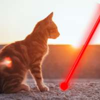 Lasergame for Cats