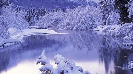 Winter Live Wallpaper (Wallpapers & Backgrounds) screenshot 9