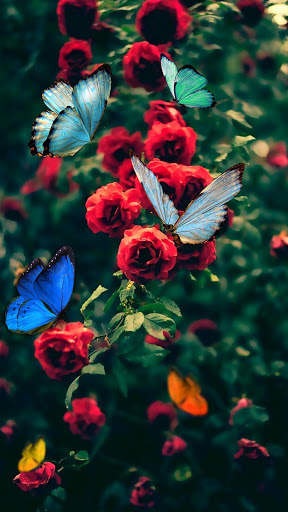 Dancing Butterfly APUS Live Wallpaper screenshot 5