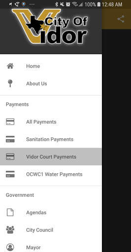 City Of Vidor Texas Official screenshot 5
