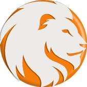 King Browser 1.0