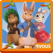 temple peter run rabbit 1.0