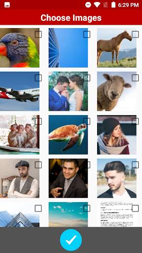 Photos to PDF maker to Copy &  screenshot 2