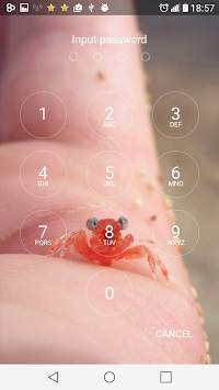 Security Lockscreen Password screenshot 2