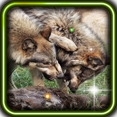 Wolves Sounds live wallpaper icon