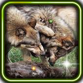 Wolves Sounds live wallpaper 1.3
