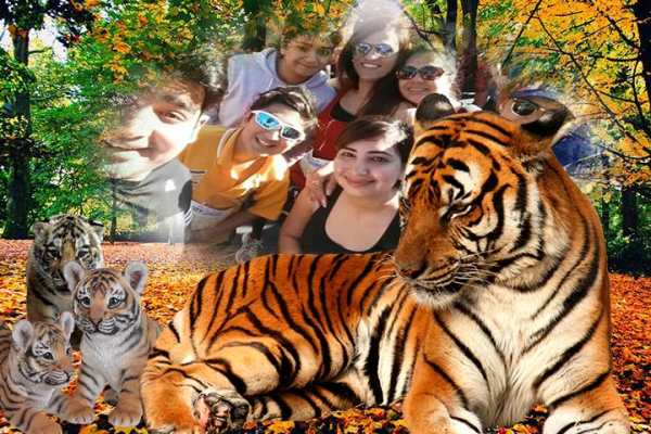 Wildlife Photo Frame screenshot 5