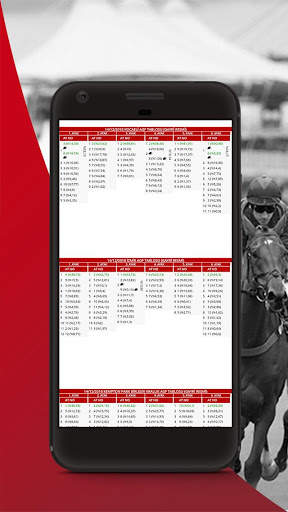 Ganyan Portal - At Yarışı Tahmin Analiz screenshot 8