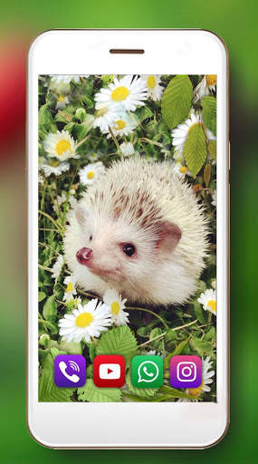 Hedgehogs Forest Live Wallpaper screenshot 3