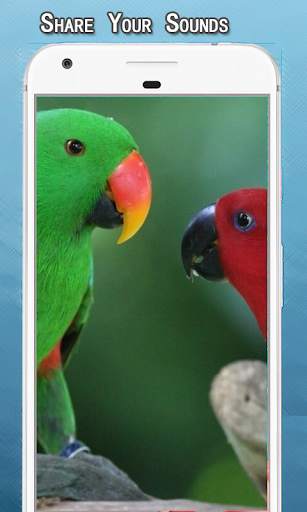 Bird Sounds Ringtone screenshot 2