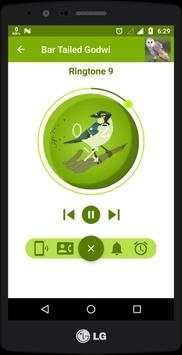 Bird Sounds And Ringtones screenshot 6