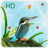 Cute Birds Live Wallpaper 1.0