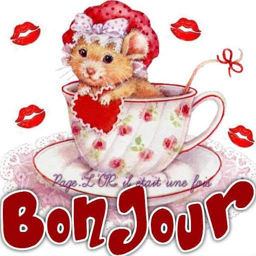 Bonjour Bonsoir Bon nuit screenshot 6