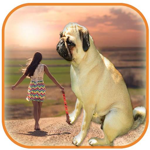 Real  Big Camera – Big Effect Photo Editor 1.0