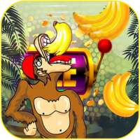 Crazy Monkey - vulkan social slots