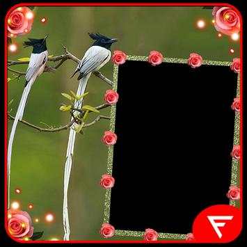 Bird Insta DP screenshot 2